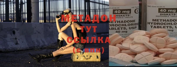 хмурый Пересвет