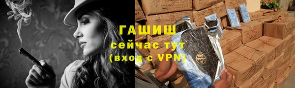 хмурый Пересвет