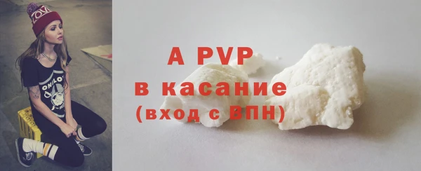 хмурый Пересвет