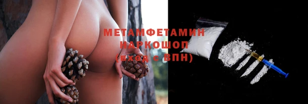 хмурый Пересвет