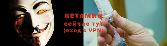 хмурый Пересвет