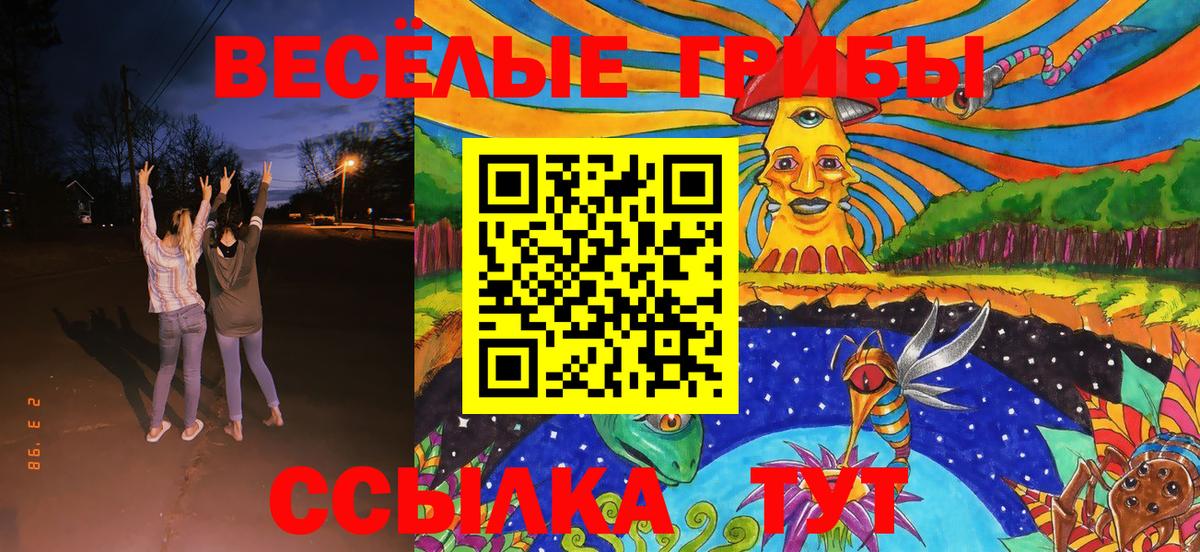 Галлюциногенные грибы MAGIC MUSHROOMS  Псилоцибиновые грибы Cubensis  даркнет сайт  Соликамск 